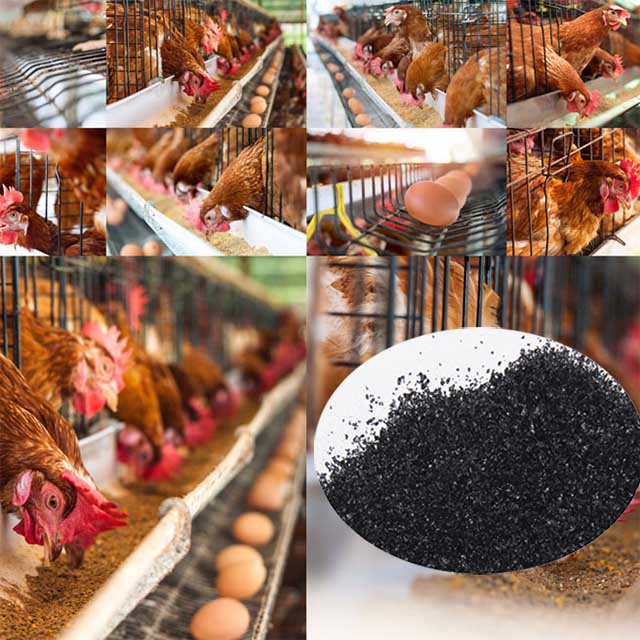 钠片 饲料添加剂 (7).jpg