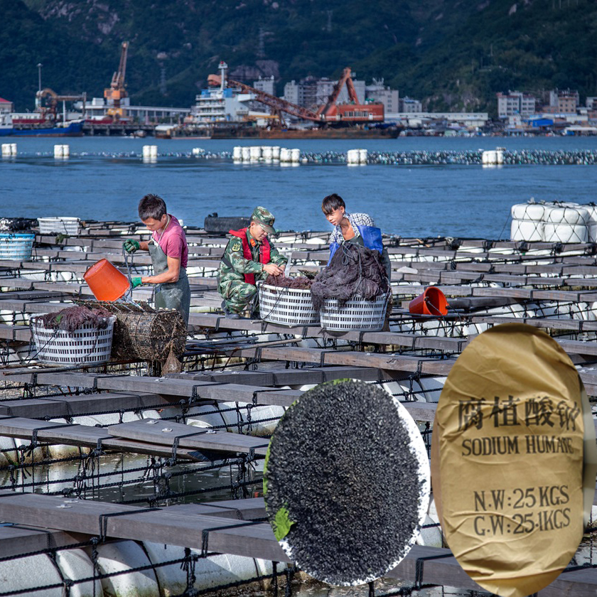 腐钠 片剂 水产专用 (8).jpg