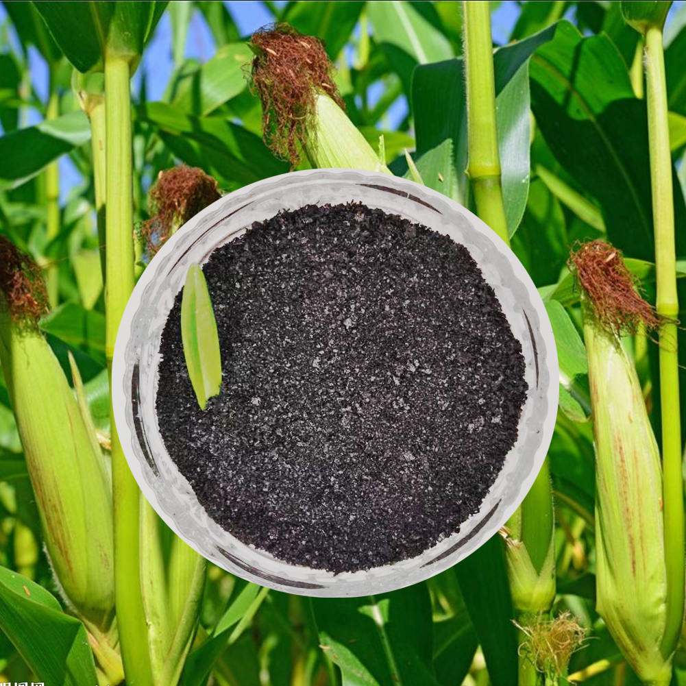 腐钾 片剂 (6).jpg